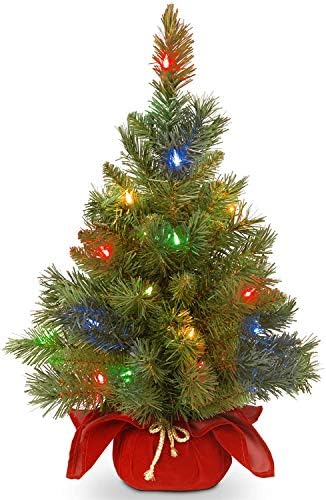 חברת העצים הלאומית עץ חג המולד המלאכותי לפני מואר | כולל נורות LED רב צבעוניות ובסיס שקית בד | אשוח מלכותי - 2 רגל
